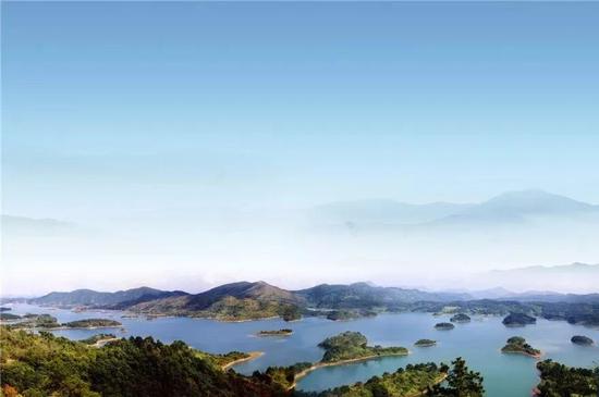 南宁坛板坡紫色花海盛开了?快来看怎么回事