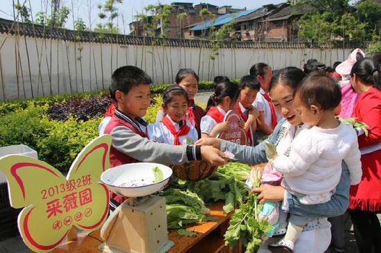 重庆小学生校园里种下蔬菜 还搞了个展销会