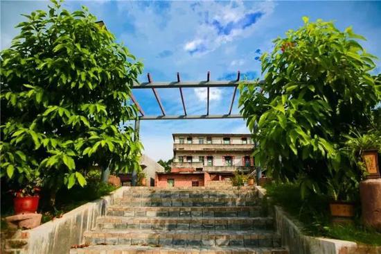 南宁坛板坡紫色花海盛开了?快来看怎么回事