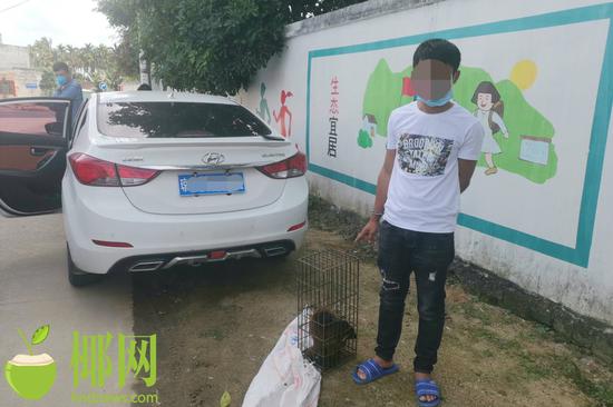 万宁肖某斌指认违规出售果子狸