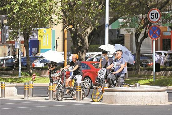 红荔西路安全岛新设花岗岩石墩。 本版图片均由深圳晚报记者 张焱焱 摄