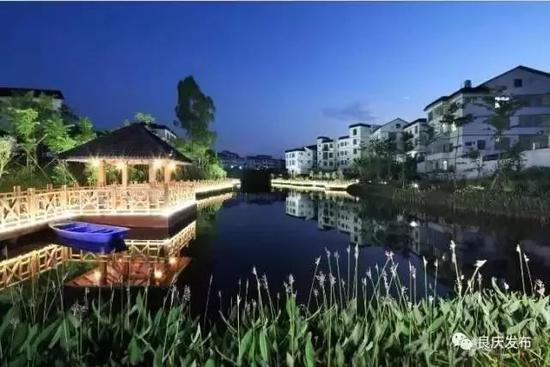 南宁坛板坡紫色花海盛开了?快来看怎么回事