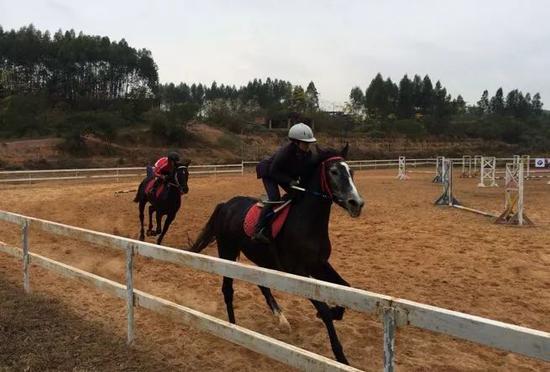 南宁坛板坡紫色花海盛开了?快来看怎么回事
