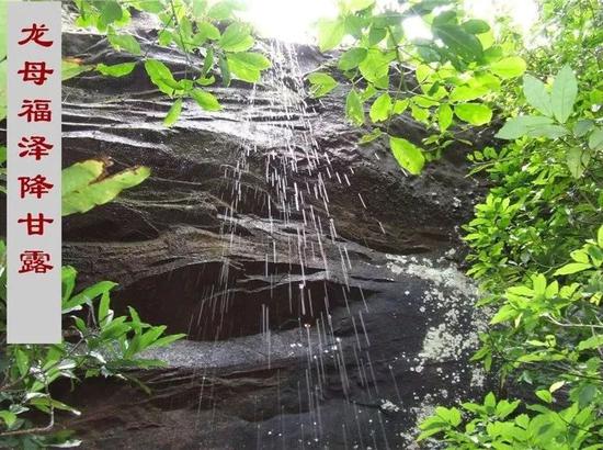 南宁坛板坡紫色花海盛开了?快来看怎么回事