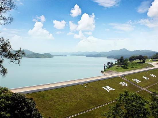 南宁坛板坡紫色花海盛开了?快来看怎么回事