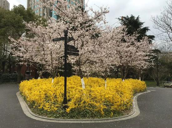 鲁迅公园北大山大草坪