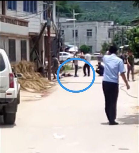 视频截图