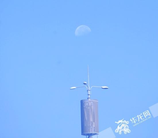 早上9点过,记者在高新园拍到月亮。记者 李文科 摄