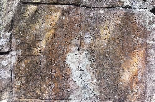 南宁坛板坡紫色花海盛开了?快来看怎么回事