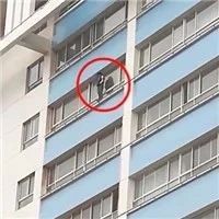 17岁少年撞人后疑无力赔偿 在医院跳楼身亡