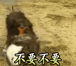 酒驾危害大,事故猛于虎!