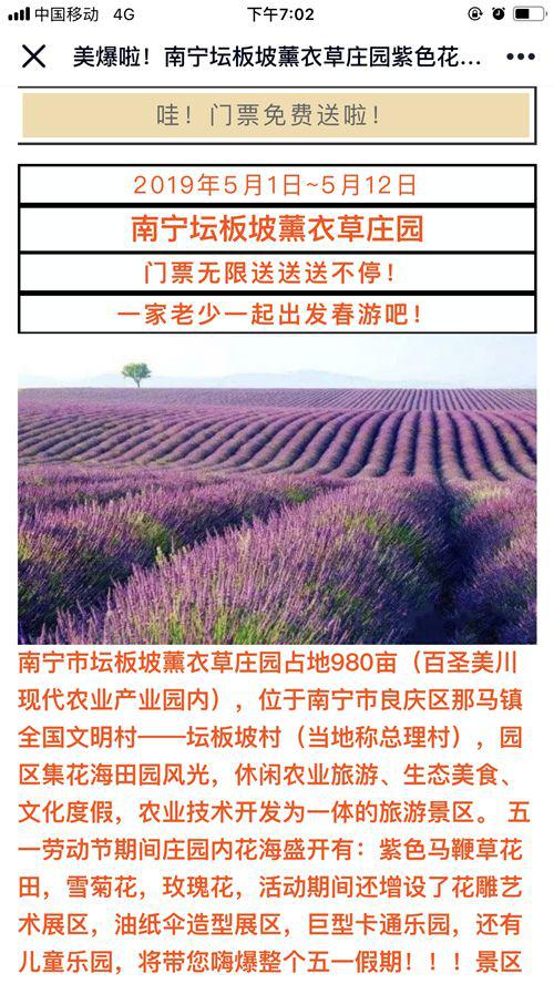 南宁坛板坡紫色花海盛开了?快来看怎么回事