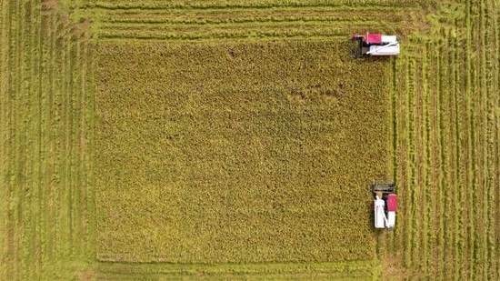 第一经济大省的“农业经”:百园强县,千亿兴农