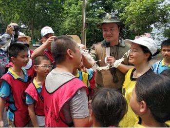 南宁坛板坡紫色花海盛开了?快来看怎么回事