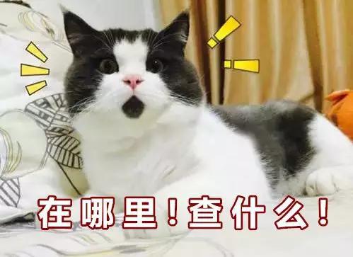假牌套牌、酒驾毒驾