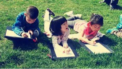 南宁坛板坡紫色花海盛开了?快来看怎么回事