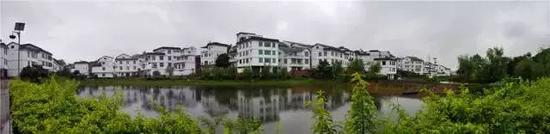 南宁坛板坡紫色花海盛开了?快来看怎么回事