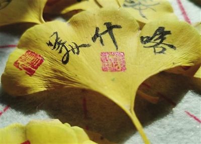 傅佩缮制作的银杏叶书签。