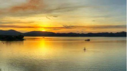 南宁坛板坡紫色花海盛开了?快来看怎么回事