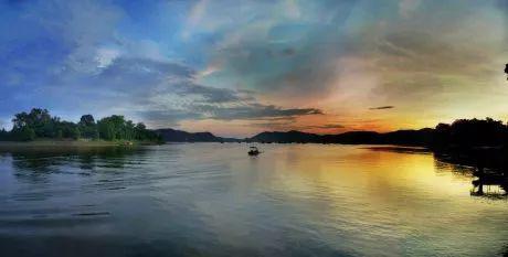 南宁坛板坡紫色花海盛开了?快来看怎么回事