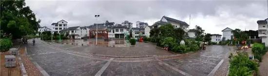 南宁坛板坡紫色花海盛开了?快来看怎么回事