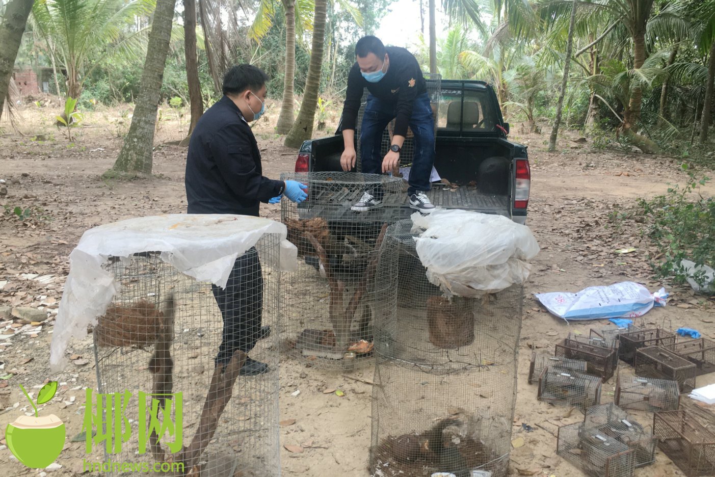 文昌森警查获詹某伟猎捕及饲养的野生动物