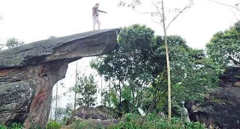 南宁坛板坡紫色花海盛开了?快来看怎么回事