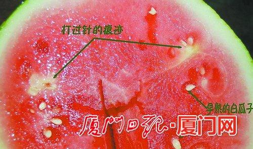 催熟的西瓜是这样子的。