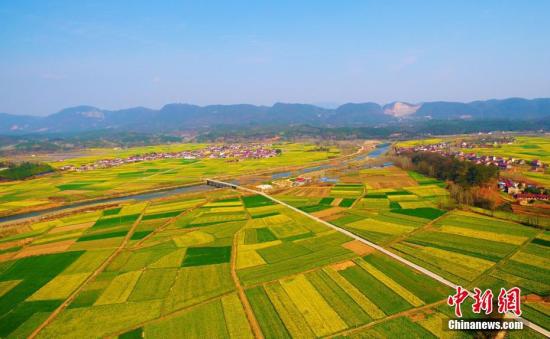 资料图:航拍湖北远安油菜花海。周星亮 摄