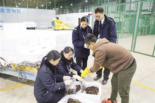 有口福了!印度洋海鲜 游上南宁人餐桌