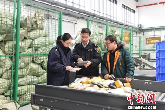 图为杭州海关隶属义乌海关关员抽核邮件信息 朱路鹏 摄