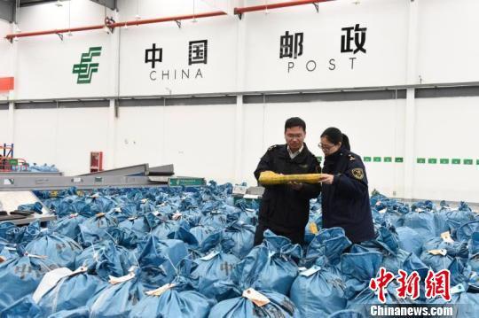 图为杭州海关隶属义乌海关关员查看准备出境的邮件包裹 朱路鹏 摄