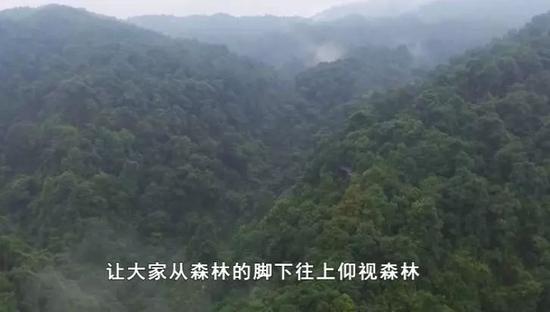 过年去哪玩?广西融水有座玻璃桥 去双龙沟嗨一