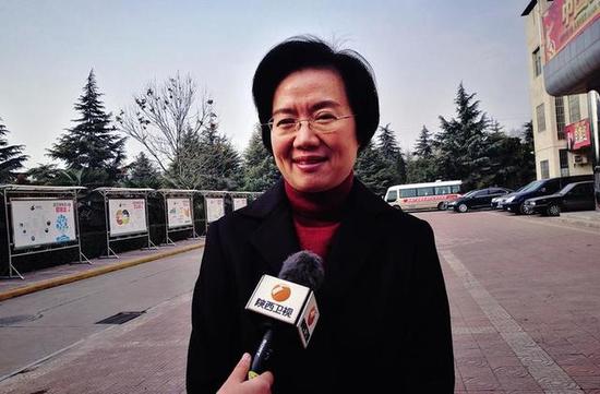咸陽市市長衛(wèi)華接受采訪