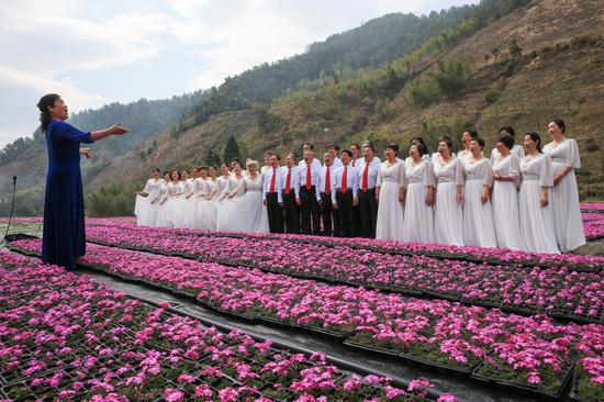 益安宁丸杯第二届合唱大赛浙江省分区赛复赛正