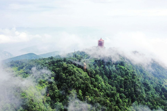 缙云山实景图,图片来源于网络,仅供参考