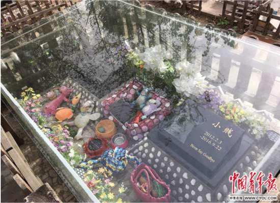 北京六环外一处“宠物墓地”