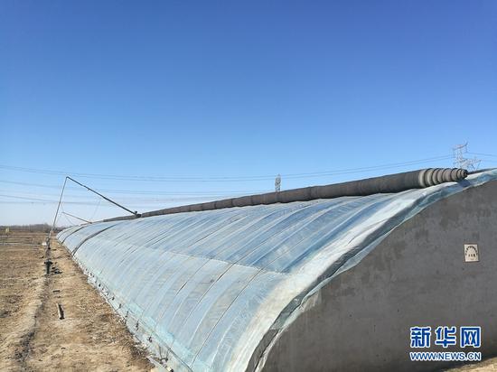 图为手机可以操作的大棚自动卷帘装置,还能控制卷帘的覆盖程度。(新华网王安摄)
