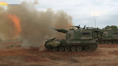 带你感受进博会越办越好 它是黑衣少女从小养大的