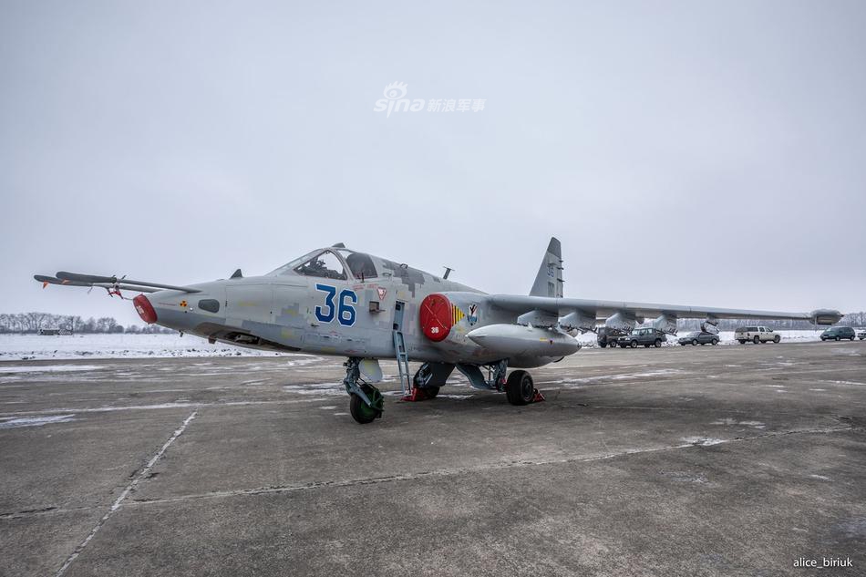 zJxj-hqwsysy6166103.jpg