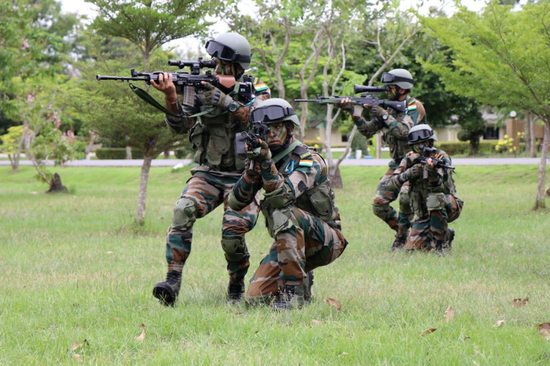 印度禁止进口上百种武器 张召忠:只能是自废武功