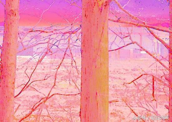 ��л��������fzgfzy������ͼƬ