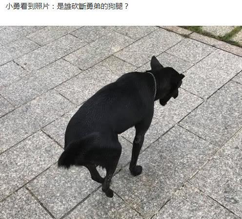 陈水扁多次喊话蔡英文