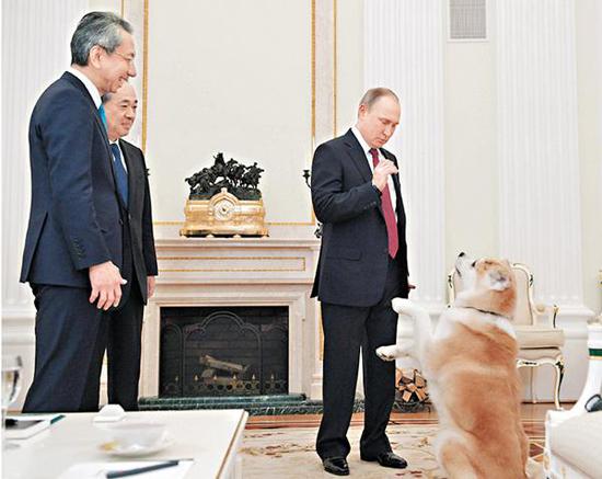 资料图:普京带着秋田犬“梦”与日本记者见面。