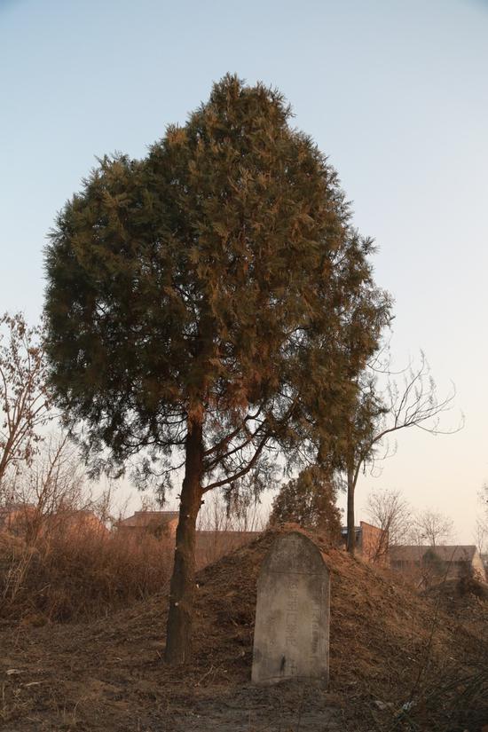 王琪母亲的墓韩逸摄影