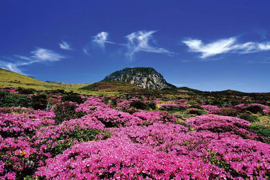 
	济州岛汉拿山 
