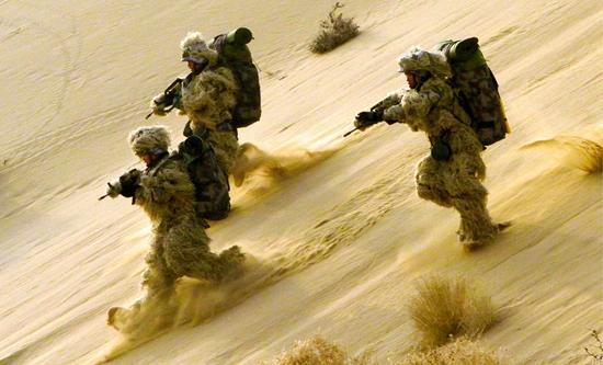 �����ٱ����½������ʵʩ��ѵ