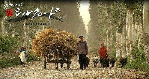 日本NHK电视台以丝绸之路为主题的纪录片截图