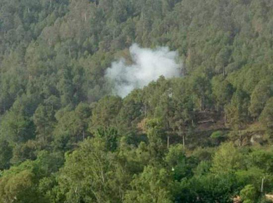 印媒提供的巴基斯坦迫击炮弹落在森林中的照片