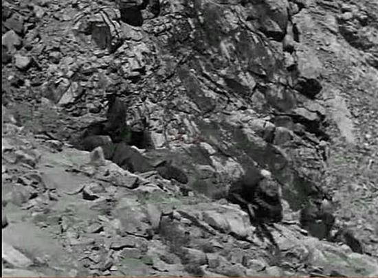 印度拍抗中神剧 竟找南越反共分子演解放军